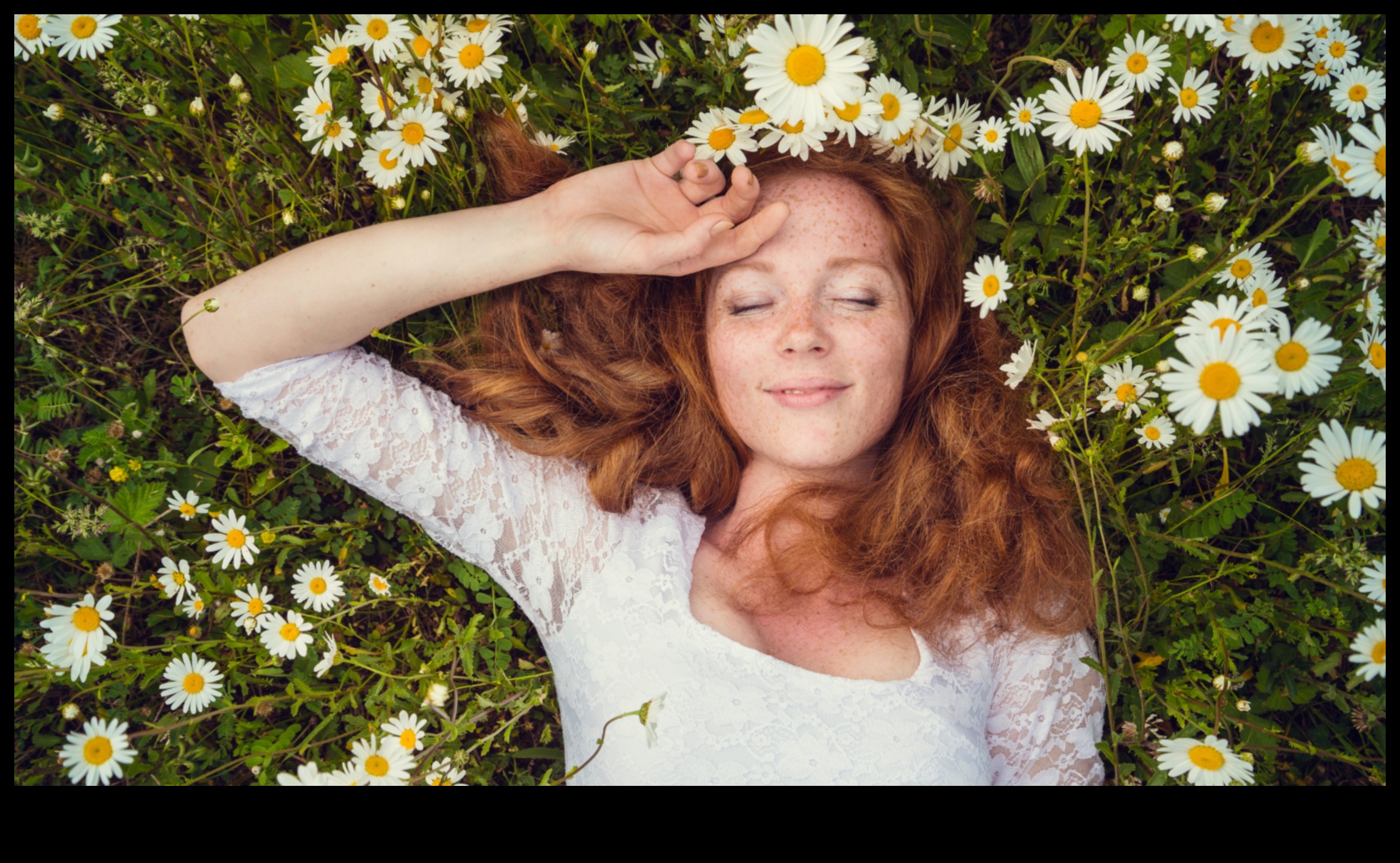 Morning Tranquility Un ghid cu infuzie de musetel pentru a-ti incepe ziua corect 2 Morning Tranquility: Începeți-vă ziua cu atingerea liniștitoare a mușețelului