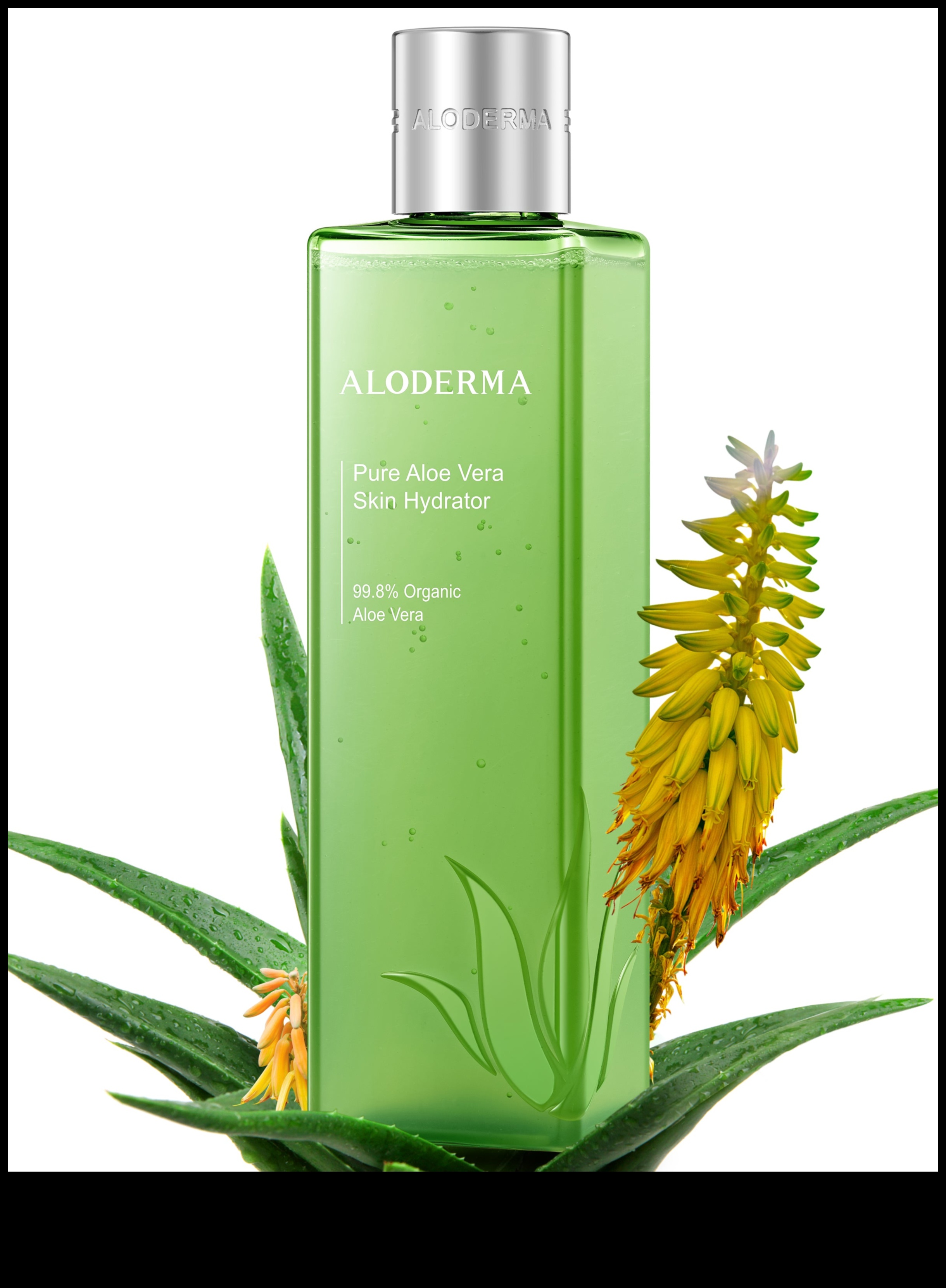 Aloe Treats Calmează și hrănește cu puterea Aloe Vera proaspătă 5 Tratamente cu Aloe: Răsfățați-vă cu puterea bunătății proaspete de Aloe Vera