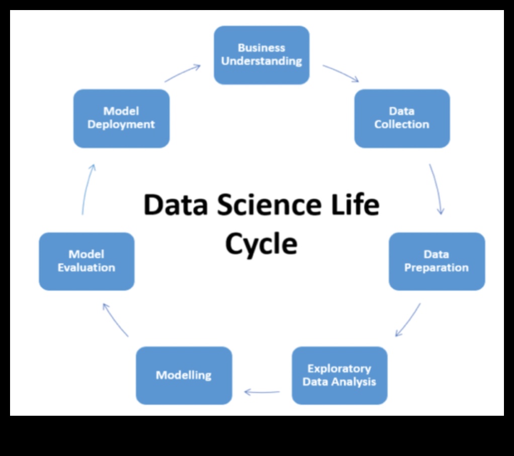 De la concept la cod: un ghid cuprinzător pentru știința profesională a datelor