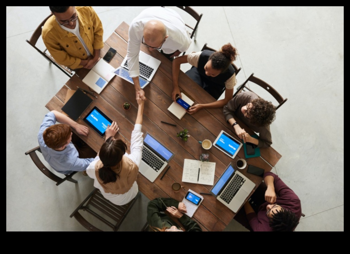 The Growth Navigator Un ghid pentru atingerea triumfului afacerilor 4 Navigatorul de creștere: stabilirea unui curs pentru triumful afacerilor