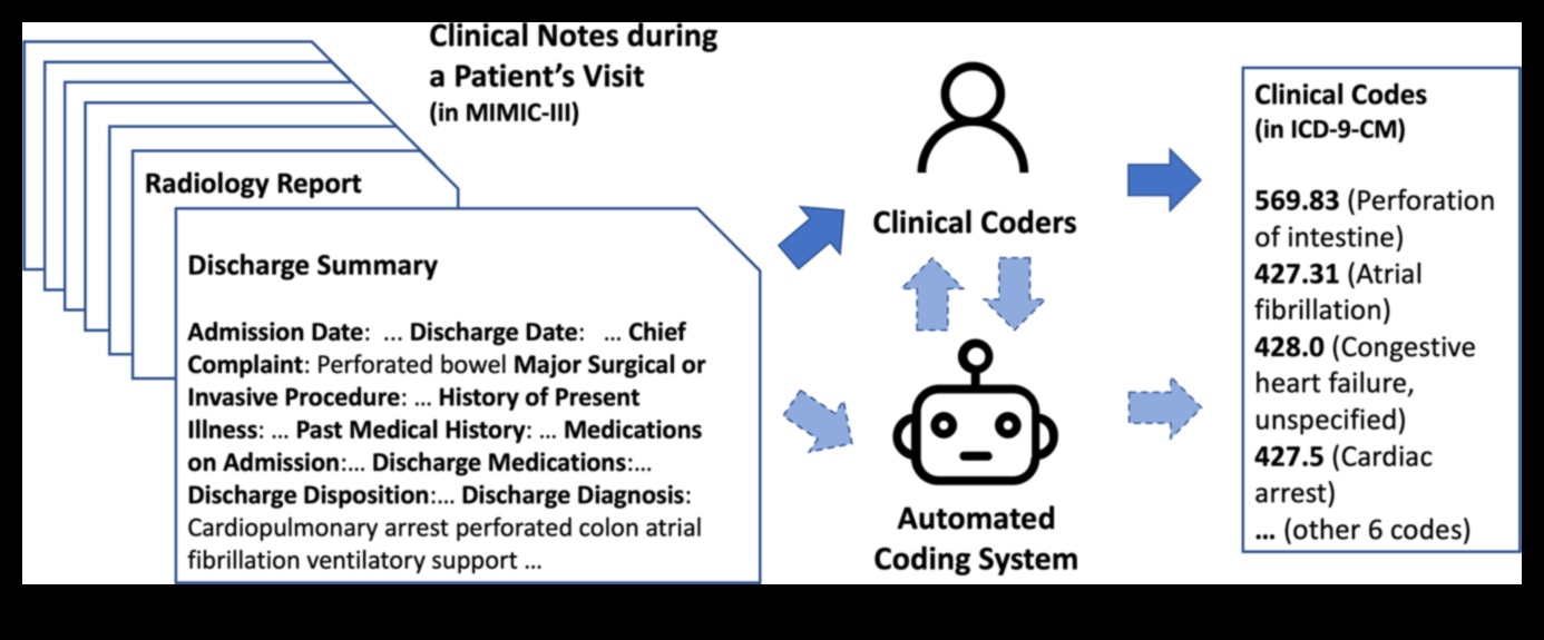 Arta codului biotehnologic: Stăpânirea meșteșugului explorării creative a sănătății