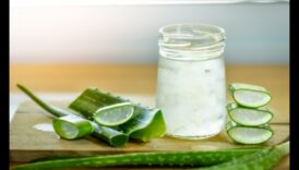 Aventuri DIY cu Sabur Vera Creați-vă propriile elixire unice și aromate 5 DIY Aloe Vera Adventures: Crearea de elixiruri unice și aromate