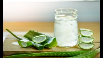 DIY Aloe Vera Adventures: Crearea de elixiruri unice și aromate