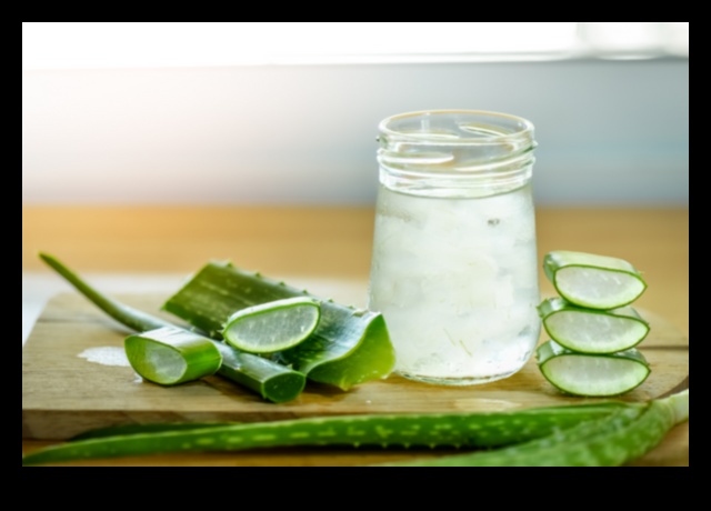 Aventuri DIY cu Aloe Vera Faceți-vă propriile elixire unice și aromate 2 DIY Aloe Vera Adventures: Crearea de elixiruri unice și aromate