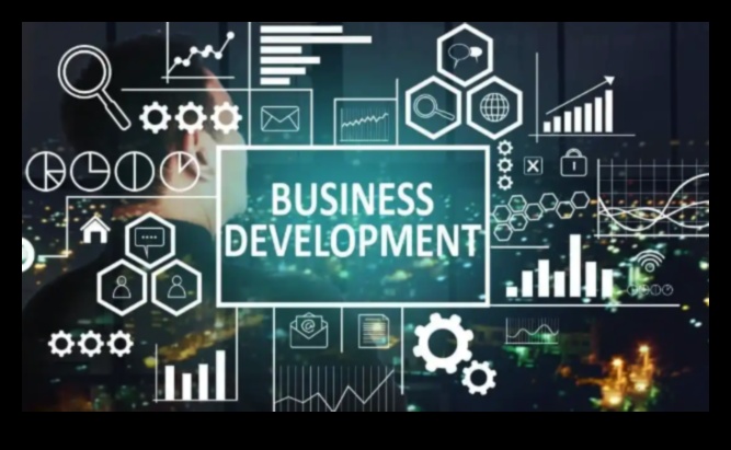 Dezlănțuirea inovației Cum inițiativele de dezvoltare a afacerii stimulează creșterea 1 Inovație dezlănțuită: puterea inițiativelor de dezvoltare a afacerilor