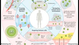 Azvarlire despre Nano Ciocnire Arta nonfigurativa preciziei 6 Proiectare pentru Nano Impact: Artă care lasă o impresie de precizie de durată