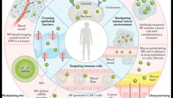 Proiectare pentru Nano Impact: Artă care lasă o impresie de precizie de durată