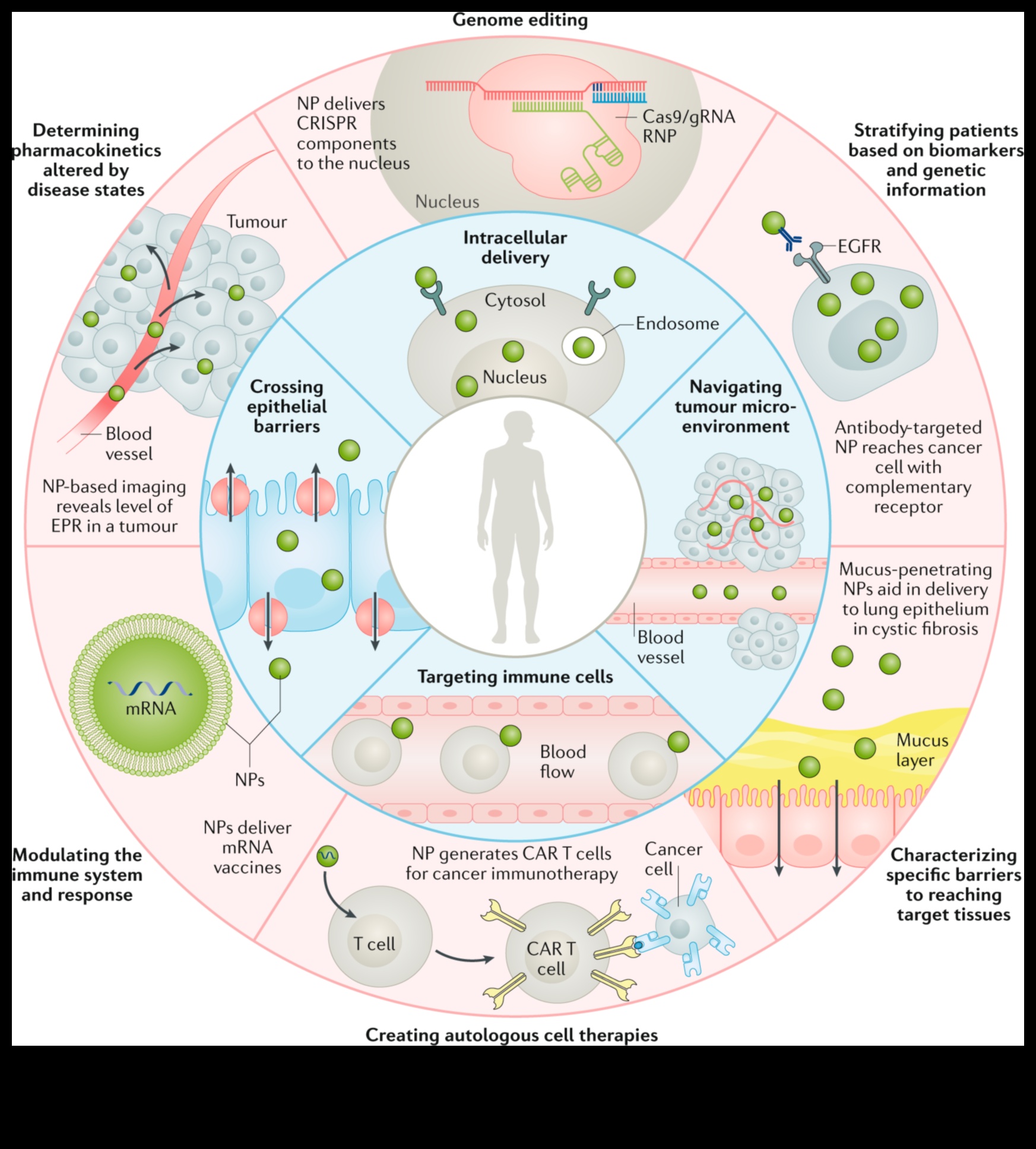 Proiectare pentru Nano Impact: Artă care lasă o impresie de precizie de durată